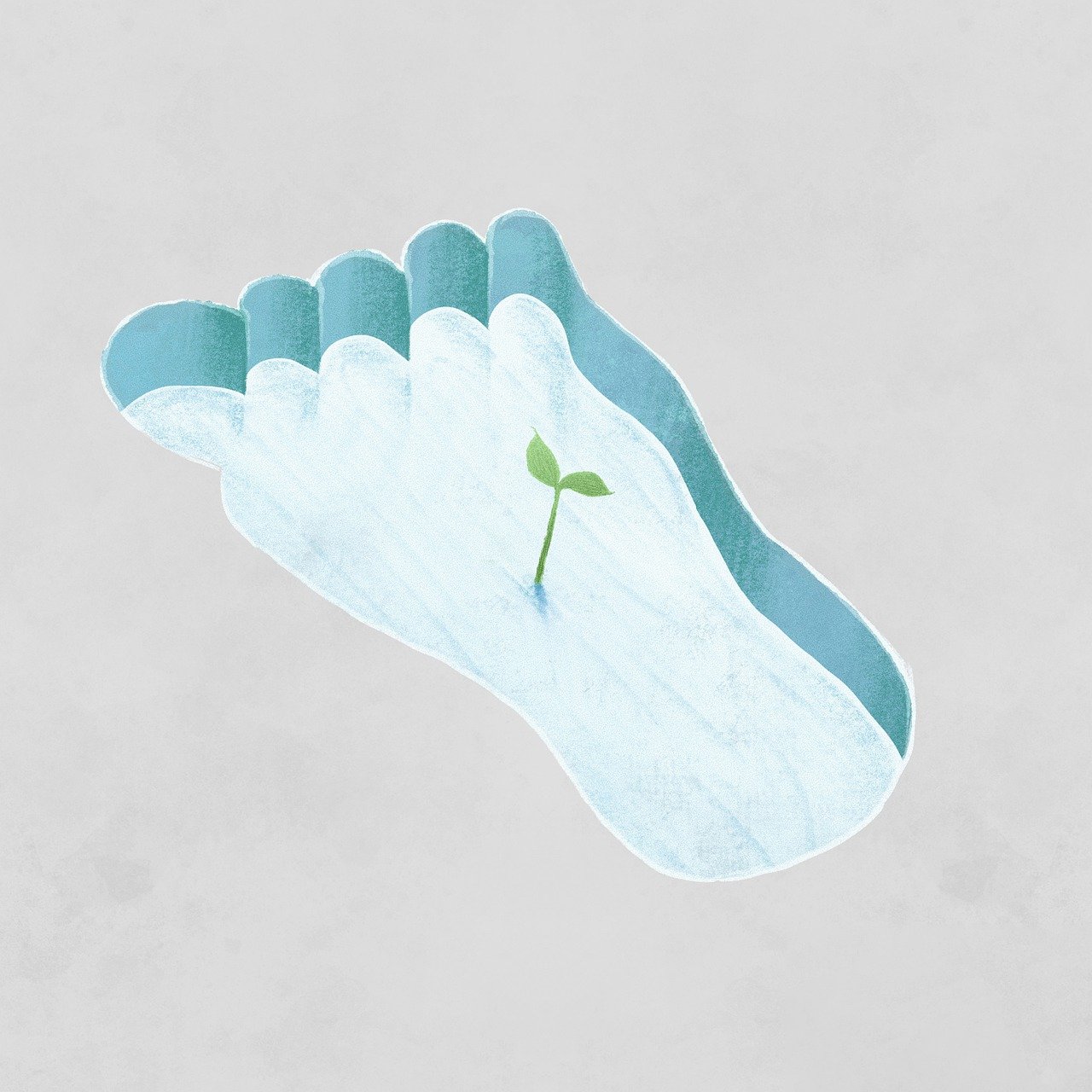 découvrez comment réduire votre empreinte écologique grâce à nos conseils pratiques et informations essentielles. adoptez un mode de vie durable et respectueux de l'environnement pour contribuer à la protection de notre planète.