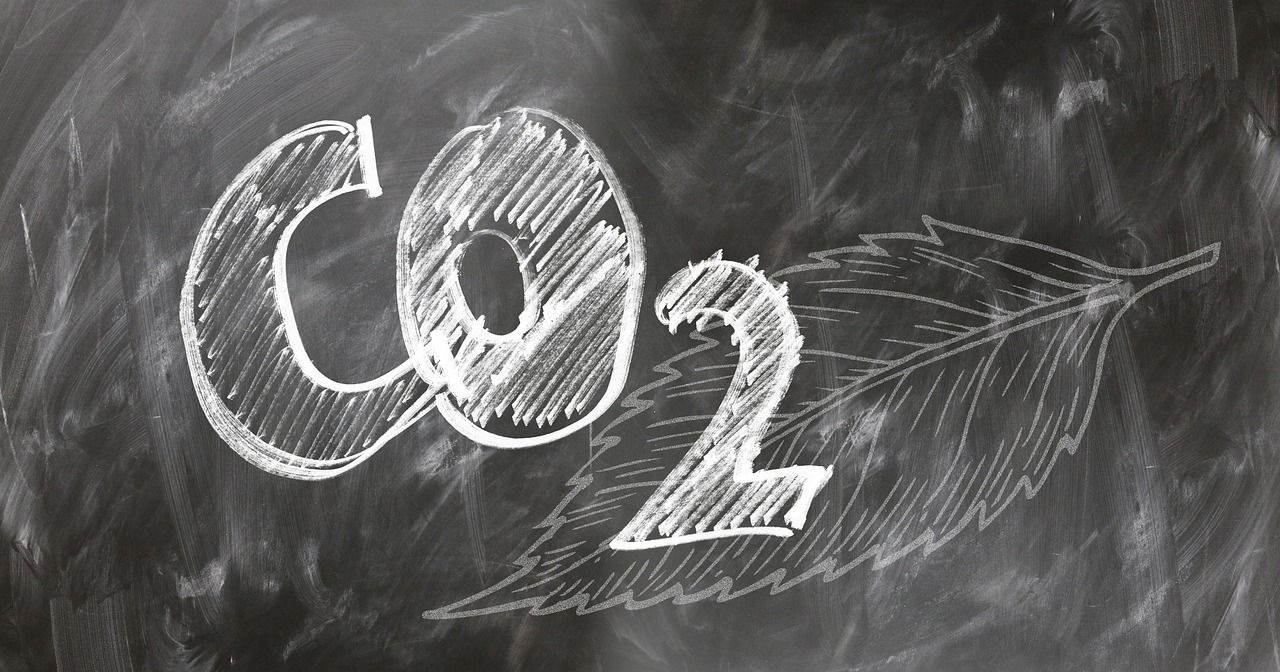 découvrez comment réduire votre empreinte carbone et contribuer à un avenir durable. explorez des conseils pratiques pour minimiser l'impact environnemental de vos actions quotidiennes.
