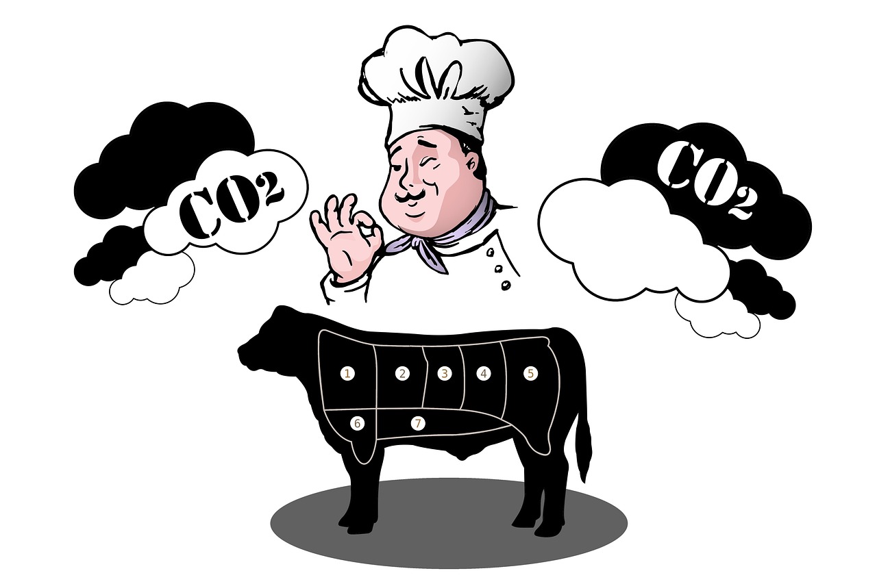découvrez comment le carbone compensation peut contribuer à la lutte contre le changement climatique en compensant vos émissions de co2. explorez les solutions d'atténuation, les projets écologiques et les avantages de devenir plus durable grâce à des pratiques de compensation carbone.