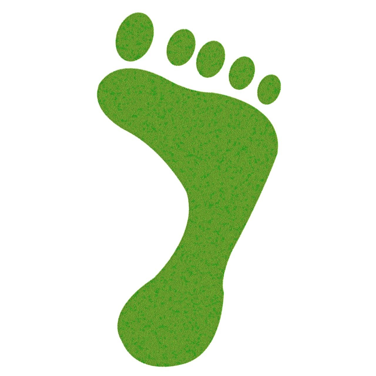 découvrez ce qu’est l’empreinte carbone, son impact sur l’environnement et les solutions pour la réduire au quotidien. informez-vous sur les enjeux climatiques et adoptez des gestes écoresponsables.