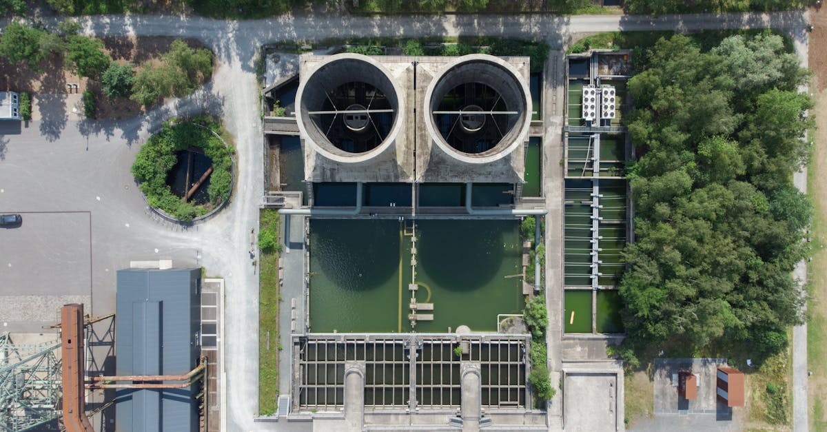 découvrez comment l'écologie urbaine transforme nos villes en écosystèmes durables. explorez les interactions entre la nature et l'urbanisation, et apprenez des solutions innovantes pour créer des espaces urbains respectueux de l'environnement.