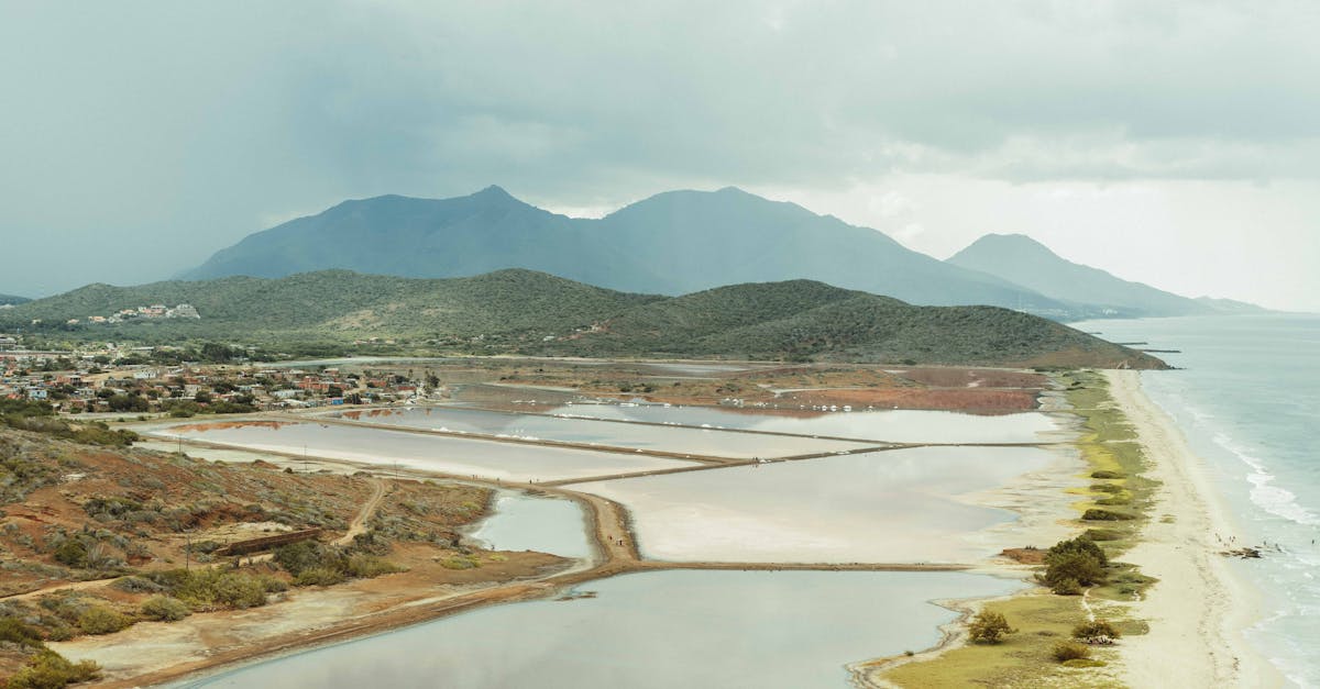 découvrez les enjeux des coûts environnementaux et leur impact sur notre planète. analyse des implications économiques et écologiques des activités humaines, ainsi que des solutions pour réduire notre empreinte écologique.