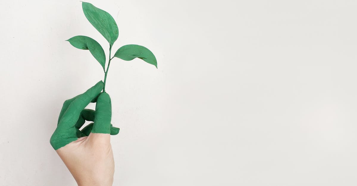 découvrez des solutions durables pour une vie éco-responsable. apprenez comment réduire votre empreinte carbone, adopter des pratiques écologiques et contribuer à un avenir meilleur pour notre planète.