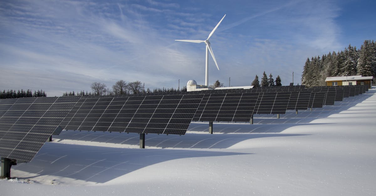 découvrez les enjeux de la durabilité et comment adopter des pratiques respectueuses de l'environnement. explorez des solutions innovantes pour un avenir plus responsable et durable.
