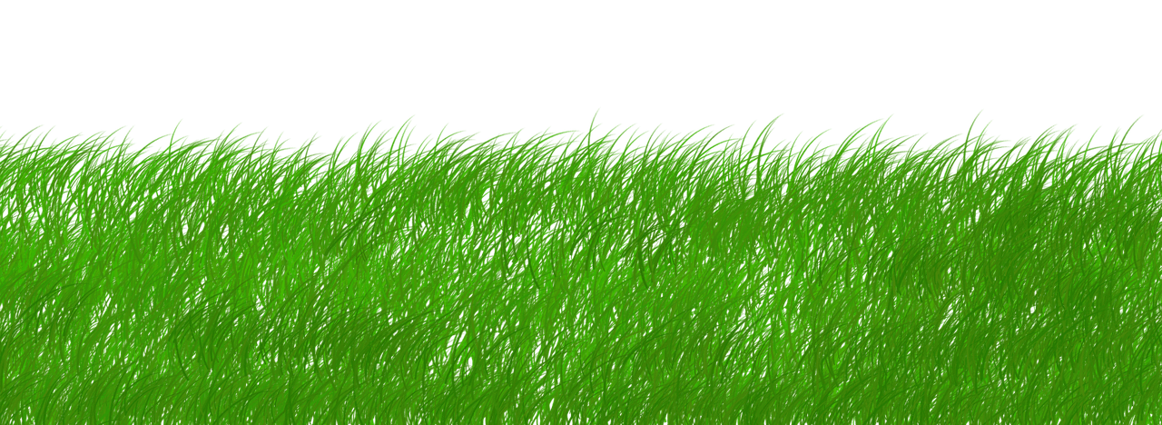 découvrez tout sur la durabilité : principes, enjeux, conseils pratiques et solutions innovantes pour adopter un mode de vie plus respectueux de l'environnement et des générations futures.