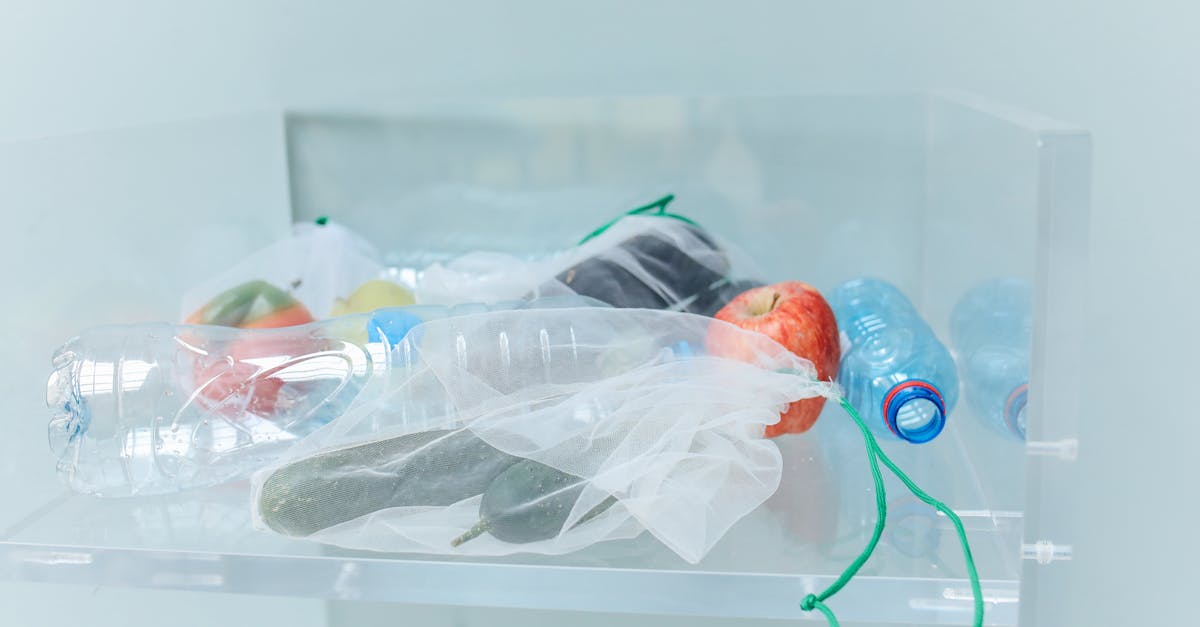découvrez des stratégies efficaces pour réduire votre utilisation du plastique et adopter un mode de vie plus durable. engagez-vous dans la protection de l'environnement en apprenant des astuces simples pour diminuer votre empreinte plastique au quotidien.