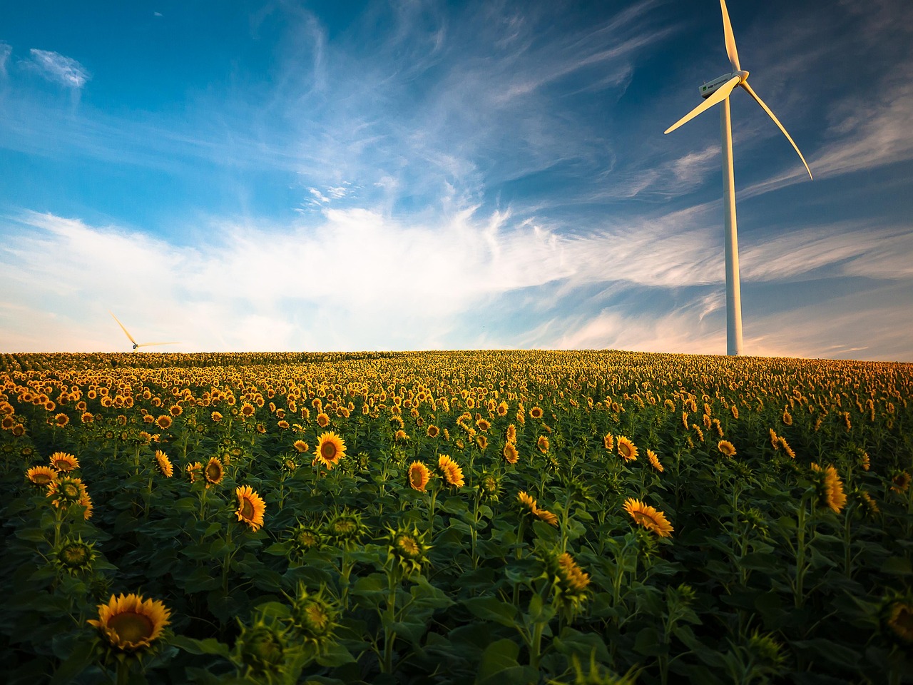 découvrez les énergies renouvelables : solutions durables pour produire de l'électricité propre et préserver l'environnement.