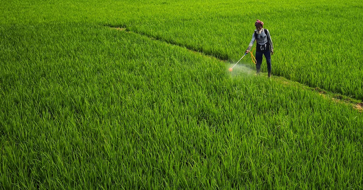 découvrez les pesticides écologiques, une alternative durable et respectueuse de l'environnement pour protéger vos cultures tout en préservant la biodiversité. apprenez comment ces solutions innovantes peuvent réduire l'impact environnemental et promouvoir une agriculture responsable.