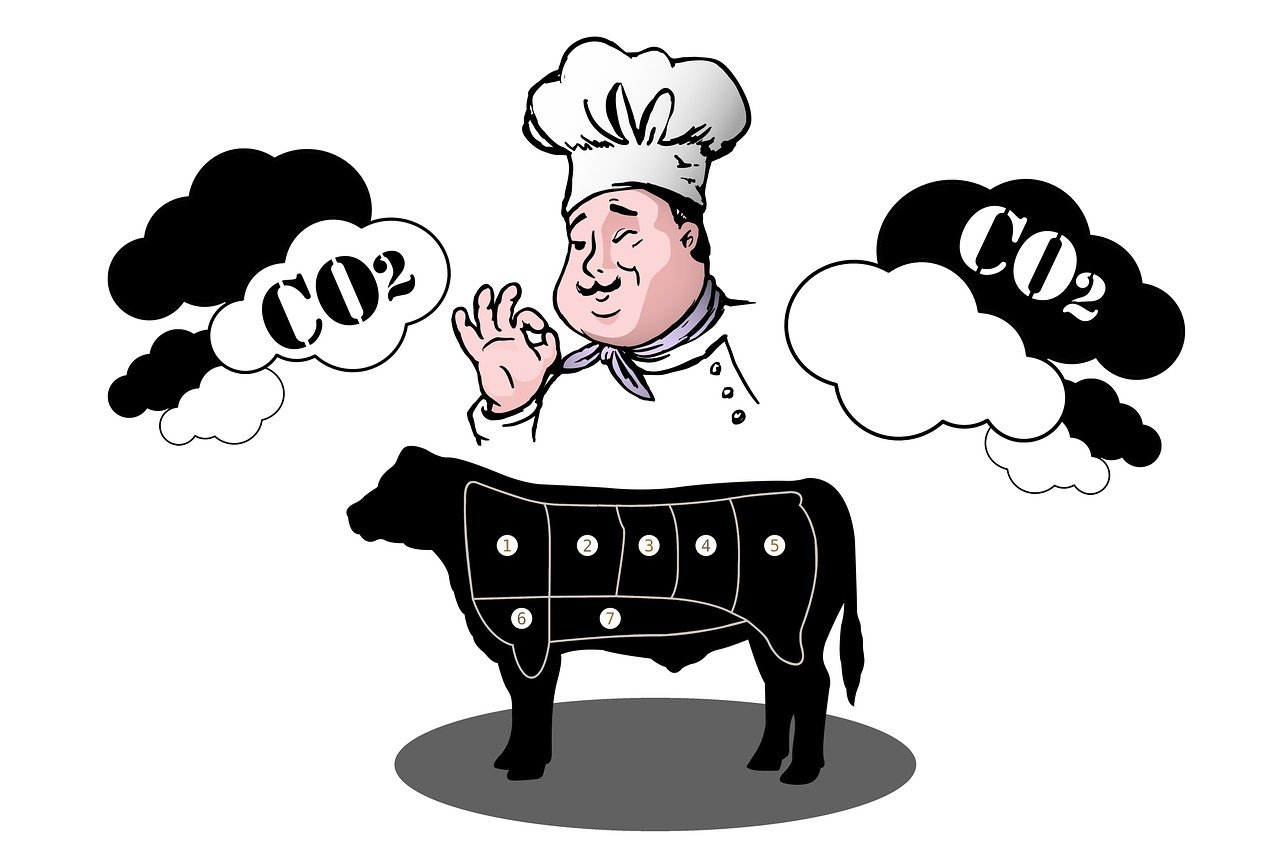 Comment le bilan carbone affecte-t-il notre planète ?
