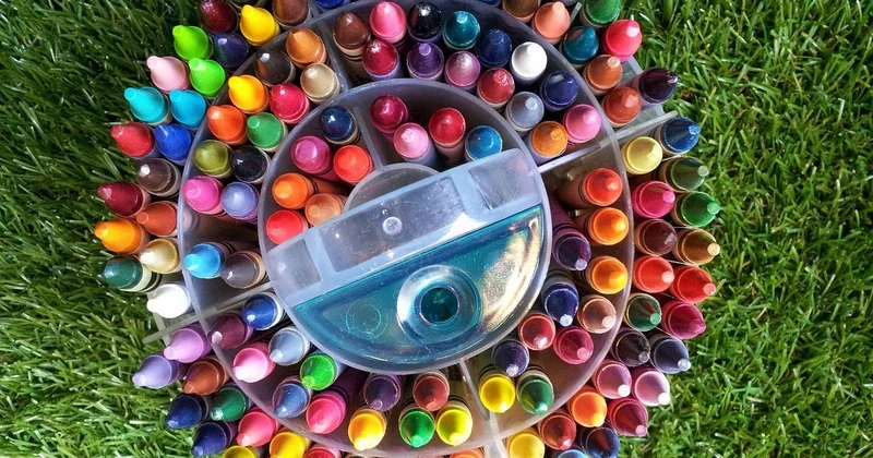 Des projets écologiques concrets pour une école primaire