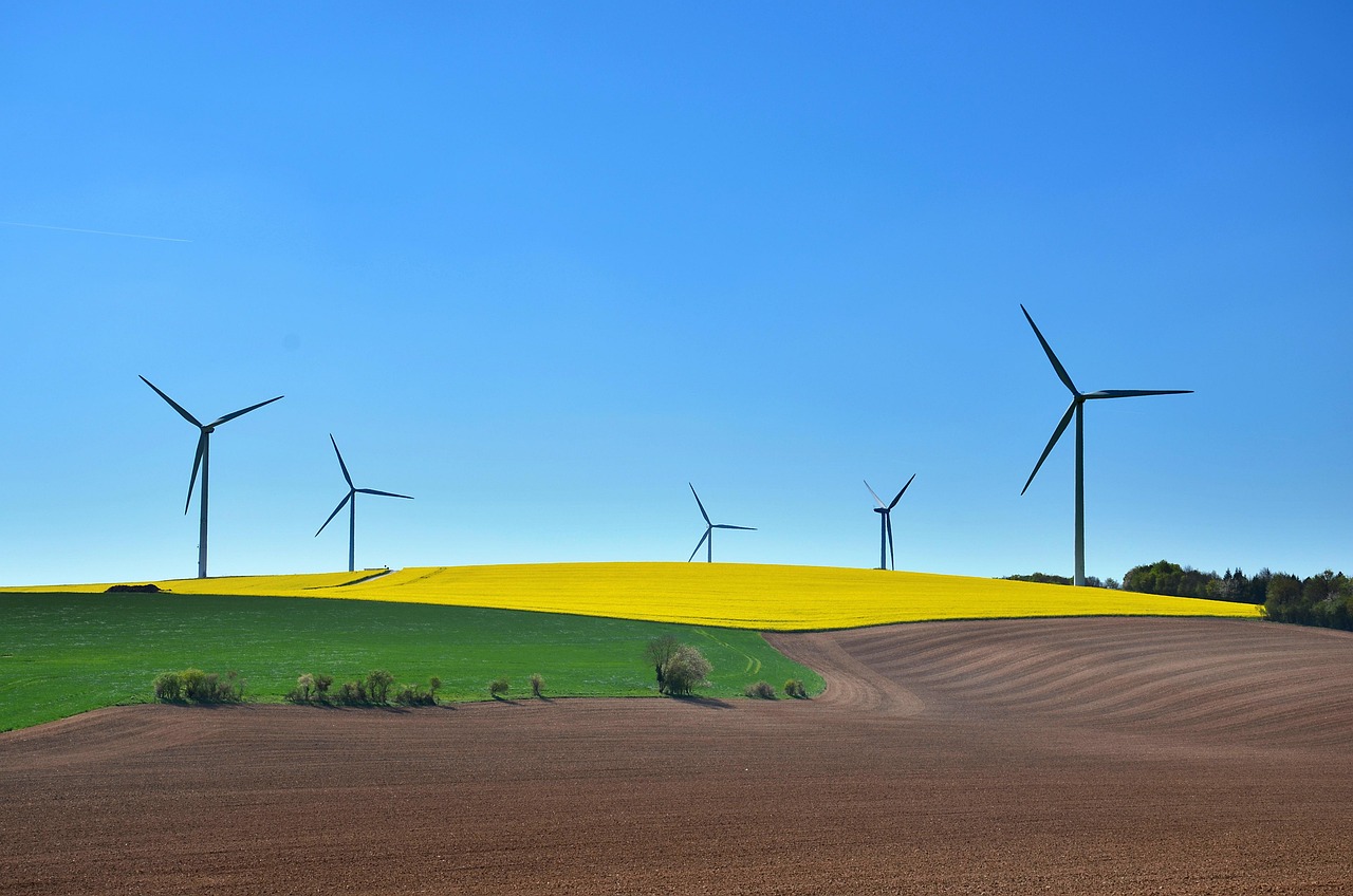 Développement durable : l’Autorité dévoile des lignes directrices pour la mise en place d’une plateforme collaborative dédiée à l’empreinte carbone des fournisseurs dans la grande distribution