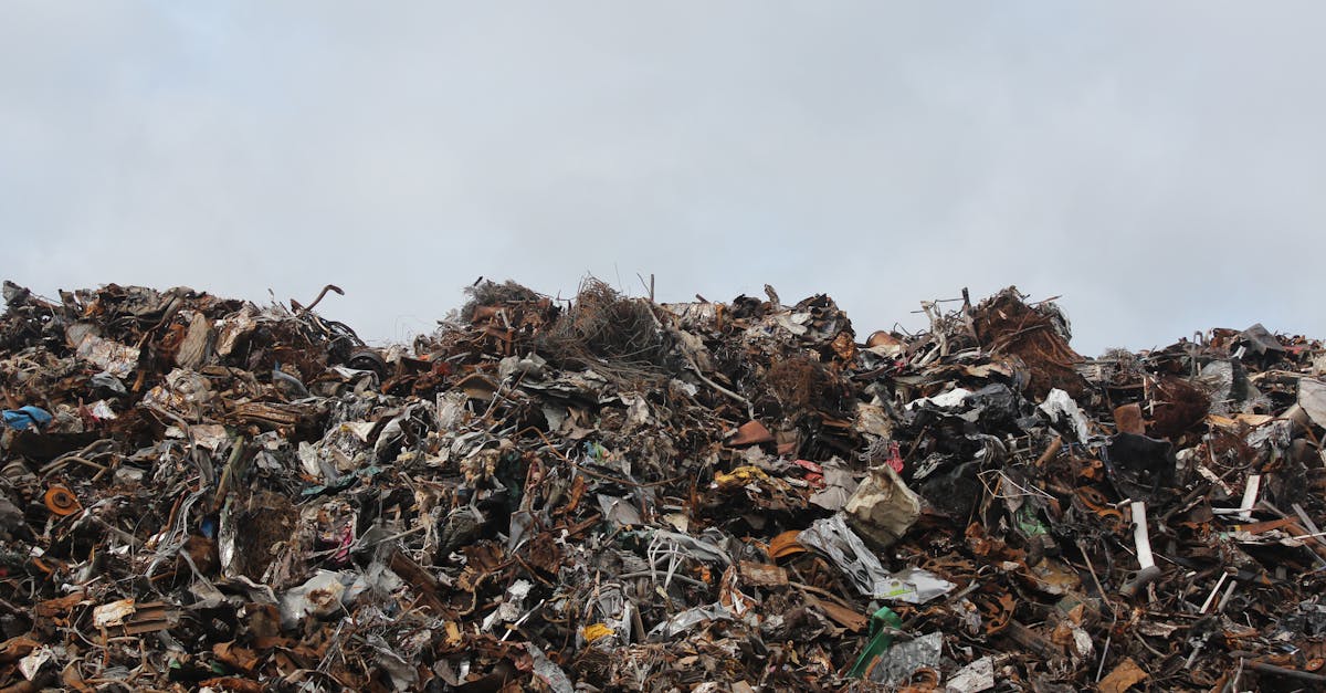 Recyclage : comment transformer vos déchets en ressources précieuses