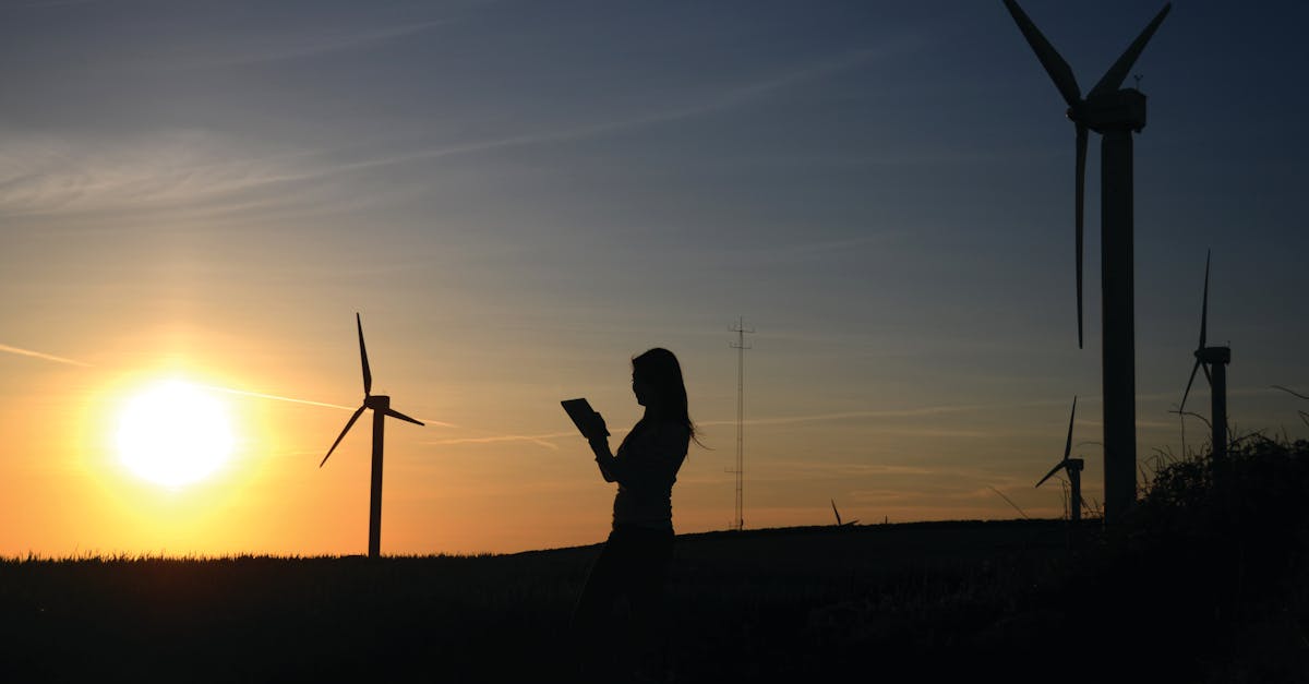 Buzz écologique : comment s’engager pour la planète aujourd’hui