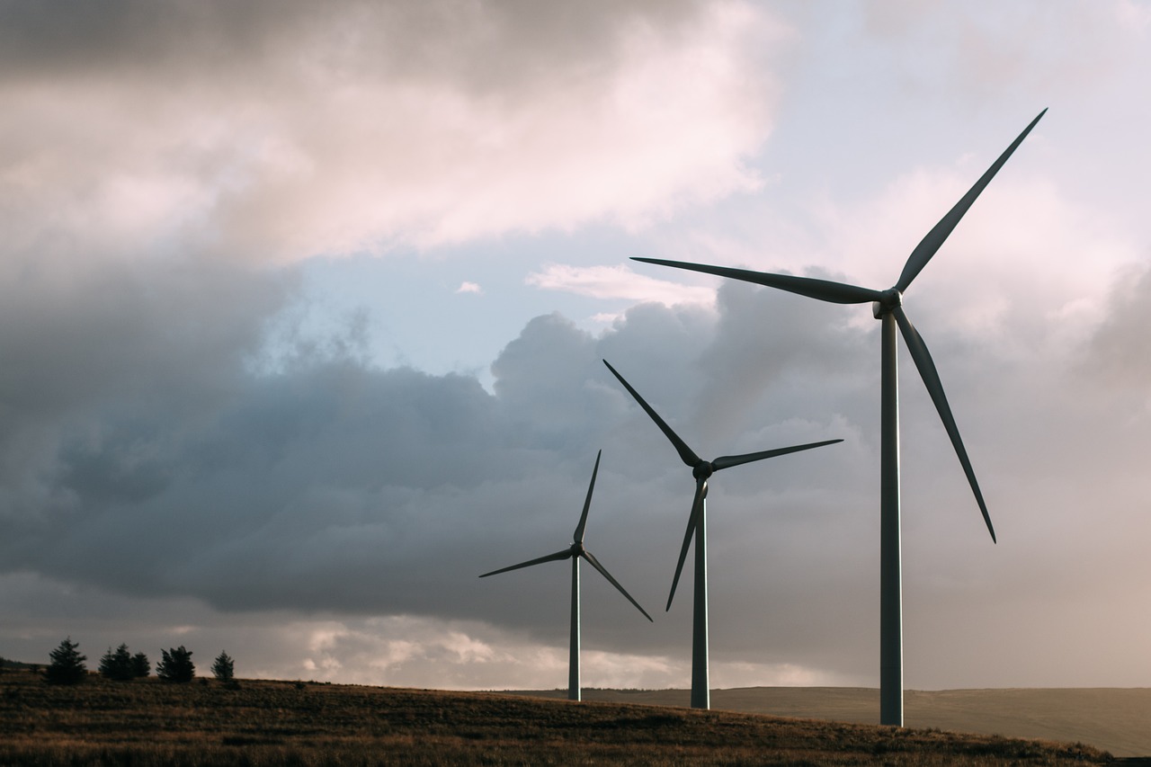 La formation et le bilan carbone des énergies renouvelables