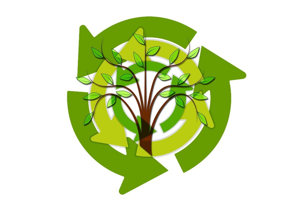 Formation interactive et collaboration pour accompagner les entreprises vers une transition écologique réussie