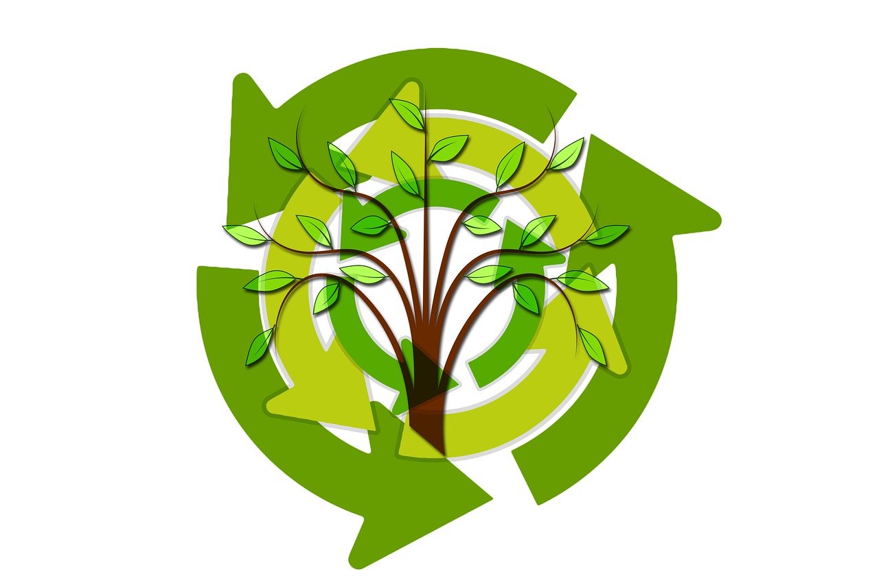 Formation interactive et collaboration pour accompagner les entreprises vers une transition écologique réussie