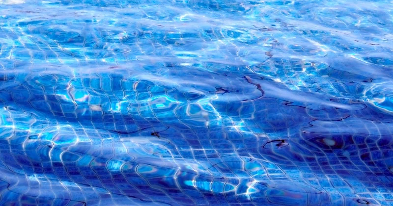 Exemple n°3 : piscines et flotte de véhicules, les deux postes tabous