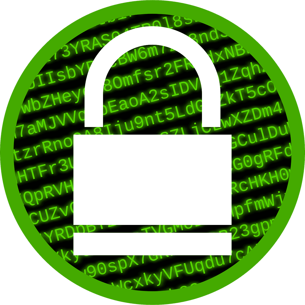 L’informatique verte : une solution innovante pour diminuer notre empreinte carbone