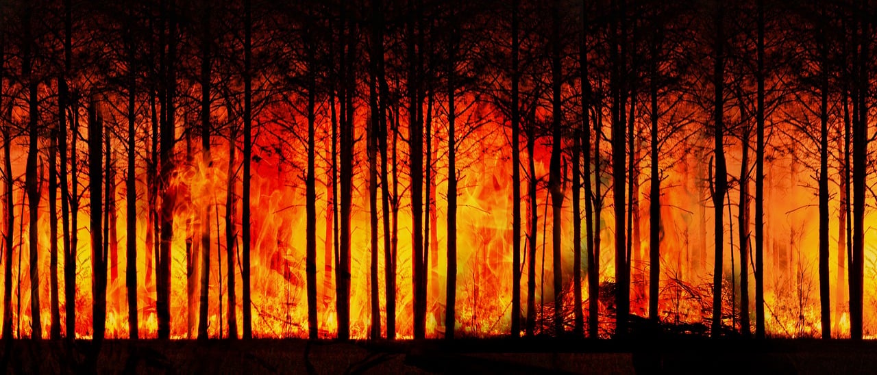 La fresque du climat : un véritable levier pour modifier nos comportements ?