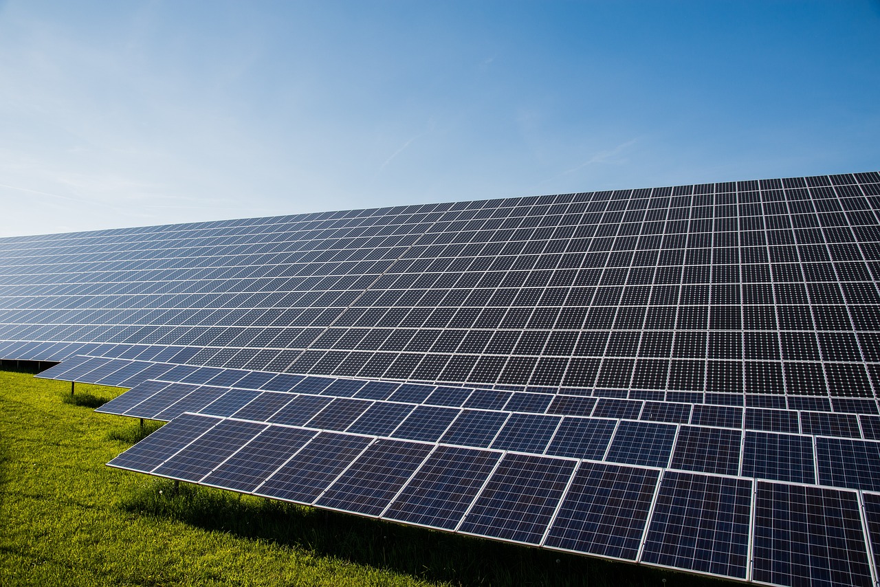 Transition écologique : un guide vers un avenir durable