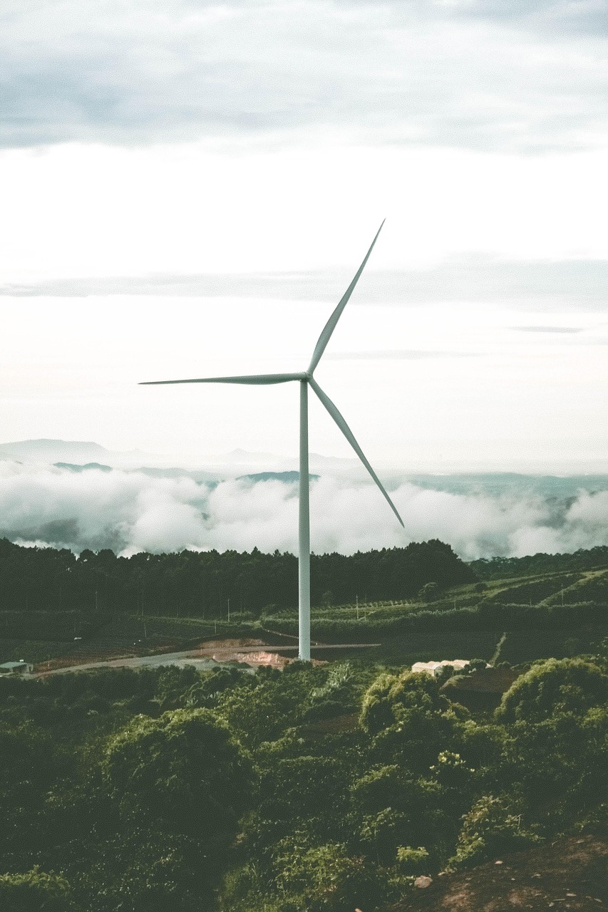 Les data centers adoptent massivement les énergies renouvelables pour réduire leur impact carbone