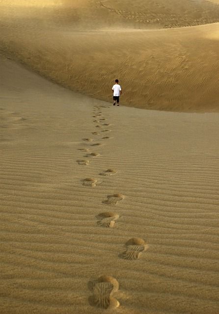 Bilan carbone des événements : comment faire ?