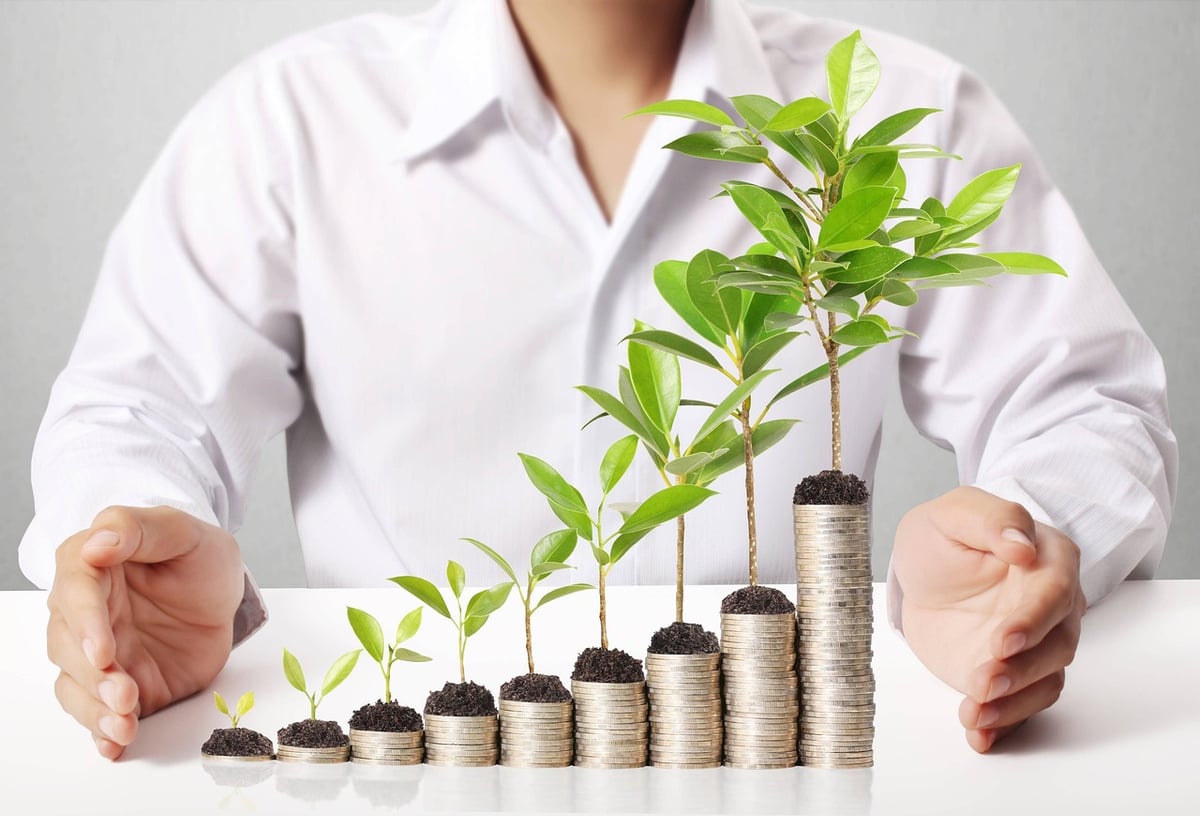 trouver un juste équilibre entre rémunération des porteurs de projet et protection de l’économie carbone