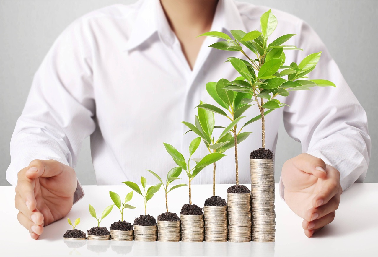 trouver un juste équilibre entre rémunération des porteurs de projet et protection de l’économie carbone