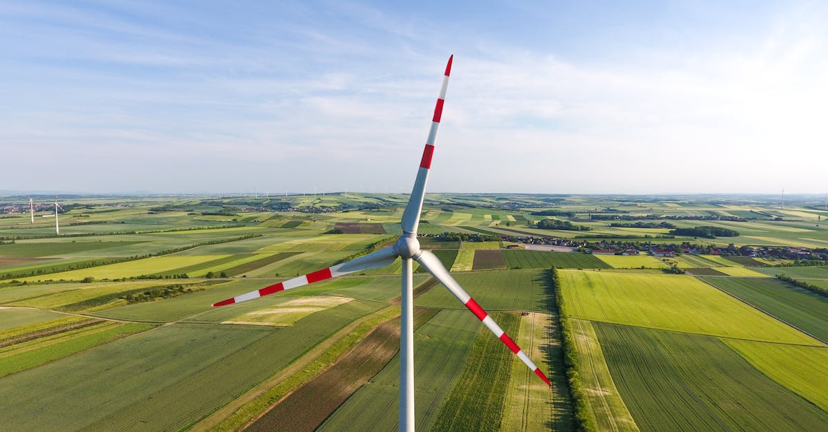 Transition écologique : 5 étapes pour un avenir durable et responsable