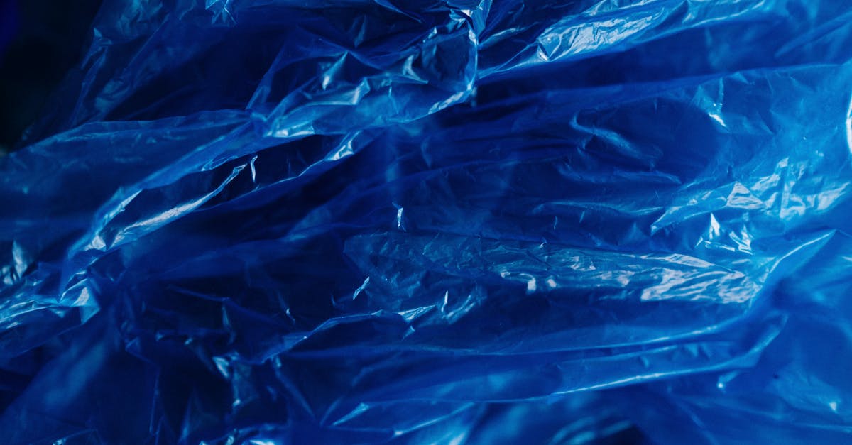 Déchets : comment réduire votre impact sur l’environnement au quotidien