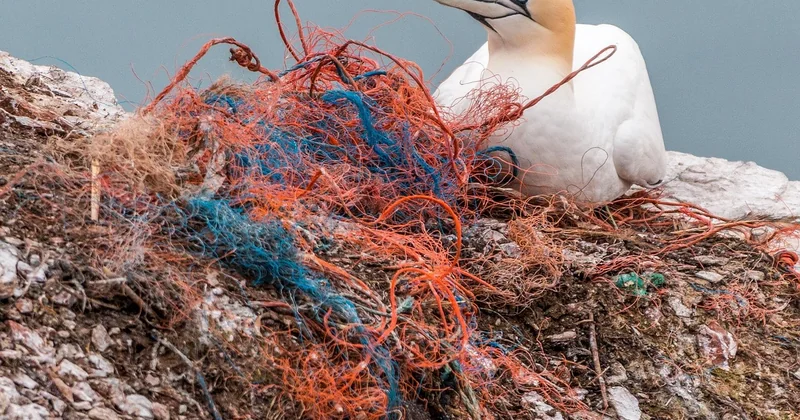 Est-ce que ChatGPT pollue l'environnement ?