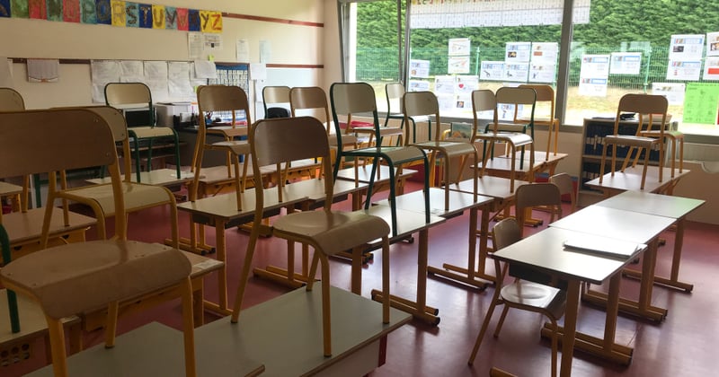 Sensibilisation écologique des enfants : 7 outils pédagogiques qui marchent