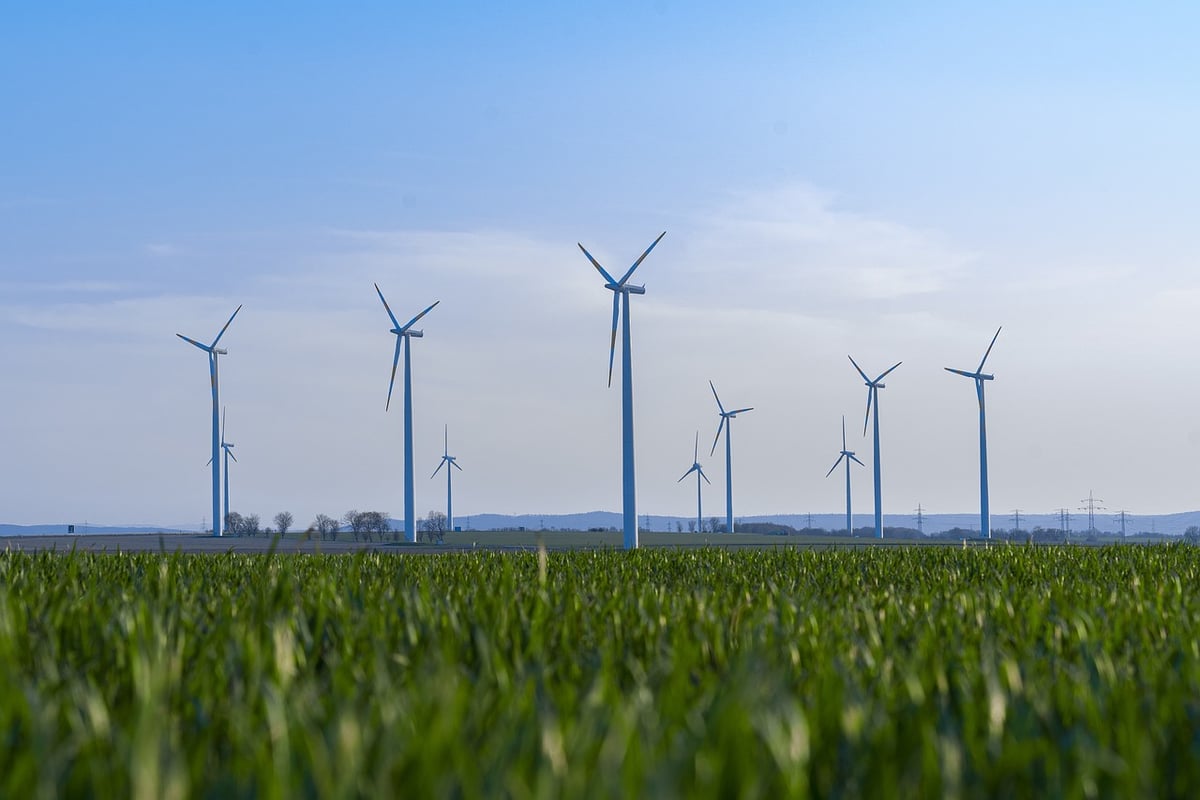 Le sport au service de l’écologie : découvrez comment l’atelier Climate Workout déculpabilise et rend l’écologie séduisante en milieu professionnel