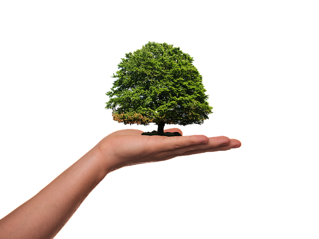 Sensibilisation écologique : éduquer pour un avenir plus vert