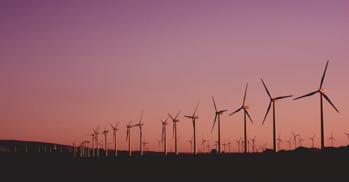 Écologie et économie unies pour un avenir durable et prospère