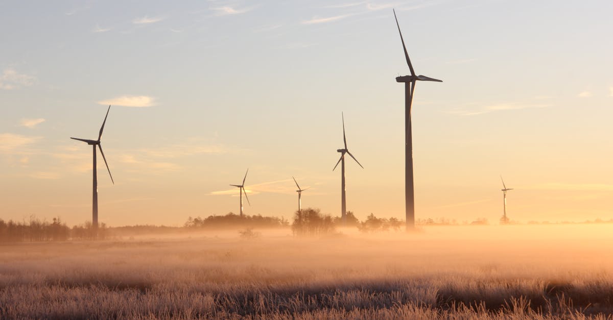 Environnement : Comment agir durablement pour notre planète