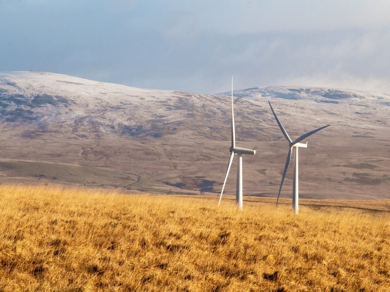 Énergies renouvelables et bilan carbone : un duo gagnant