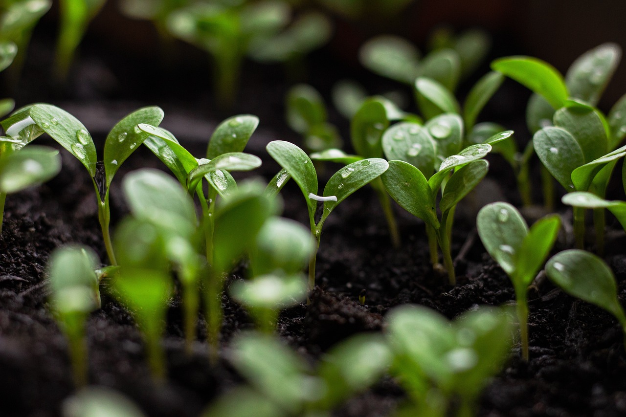 Engagement d’Ipsen pour un Futur Durable : Pratiques Écologiques au Service de l’Environnement