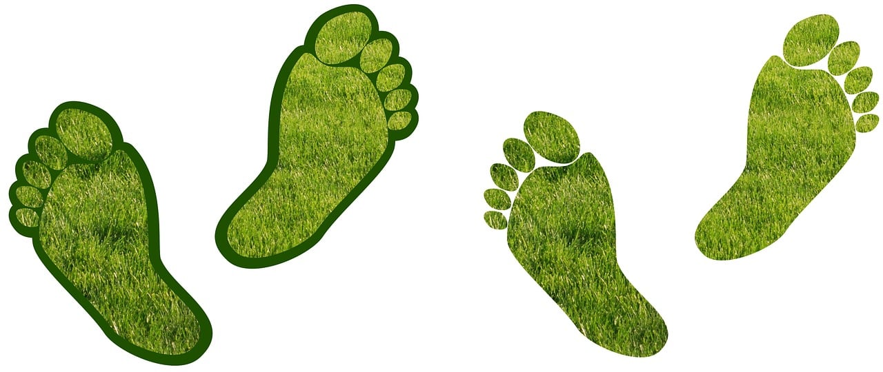 découvrez les technologies de mesure de l'empreinte carbone, essentielles pour évaluer et réduire l'impact environnemental des activités humaines. apprenez comment ces outils innovants contribuent à la durabilité et à la prise de décisions éclairées pour un avenir plus écologique.