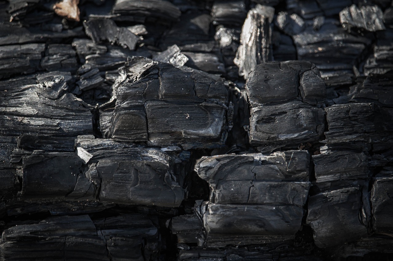 découvrez le principe de la compensation carbone, une solution efficace pour réduire votre empreinte environnementale. apprenez comment compenser vos émissions de co2 en investissant dans des projets durables et contribuer à un avenir plus vert.