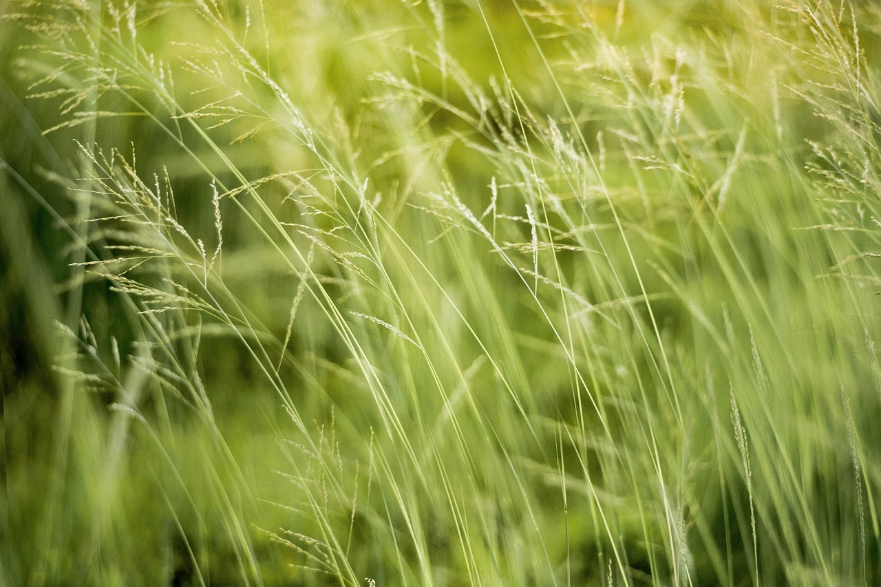 découvrez les enjeux et les conséquences de l'impact environnemental sur notre planète. explorez les solutions durables pour préserver notre écosystème et minimiser notre empreinte écologique.