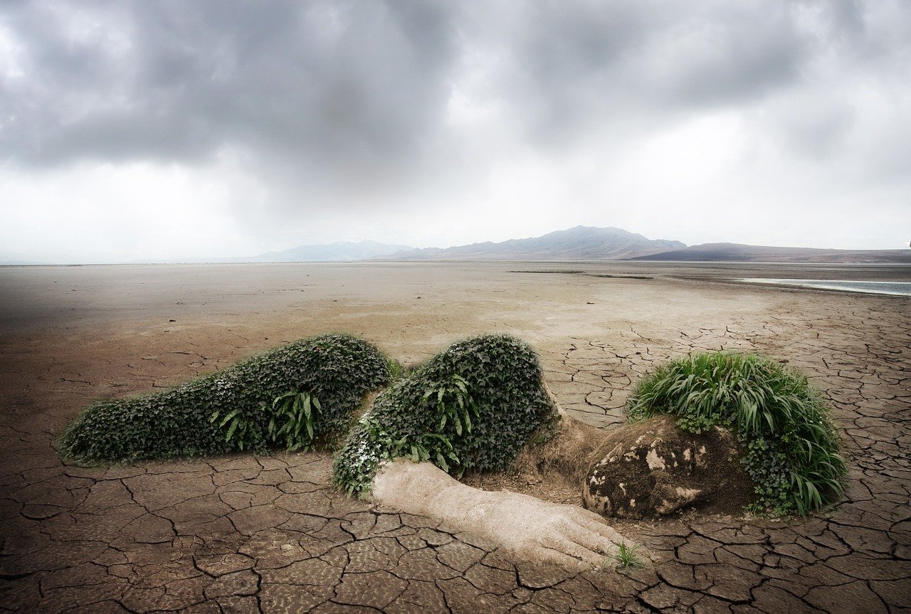 découvrez l'importance de la protection de l'environnement et les actions à entreprendre pour préserver notre planète. explorez des solutions durables pour faire face aux défis écologiques et contribuez à un avenir plus vert.