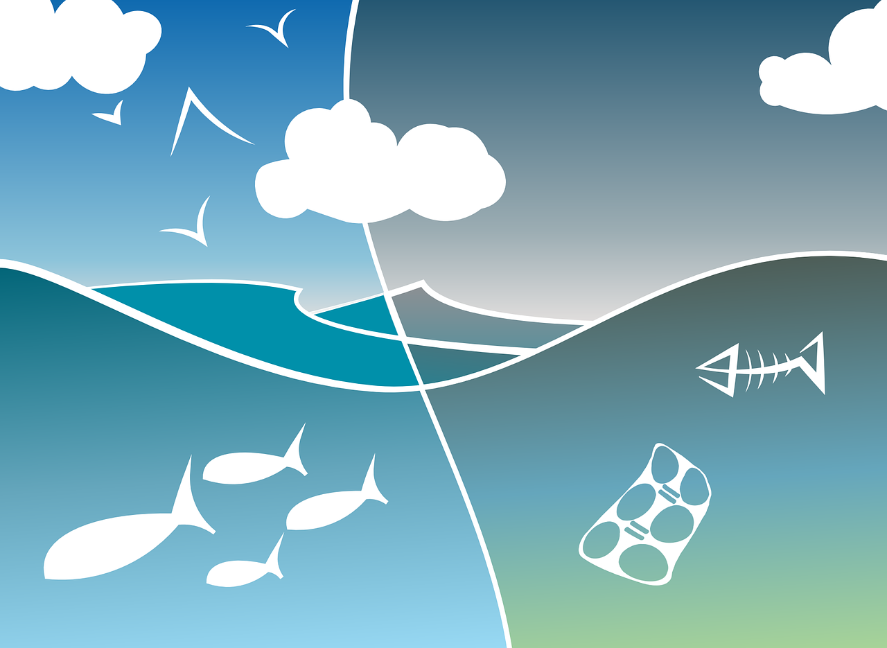 découvrez le potentiel de la biomasse, une source d'énergie renouvelable qui transforme les déchets organiques en électricité, chaleur et carburants. apprenez comment elle contribue à la durabilité environnementale et à la lutte contre le changement climatique.