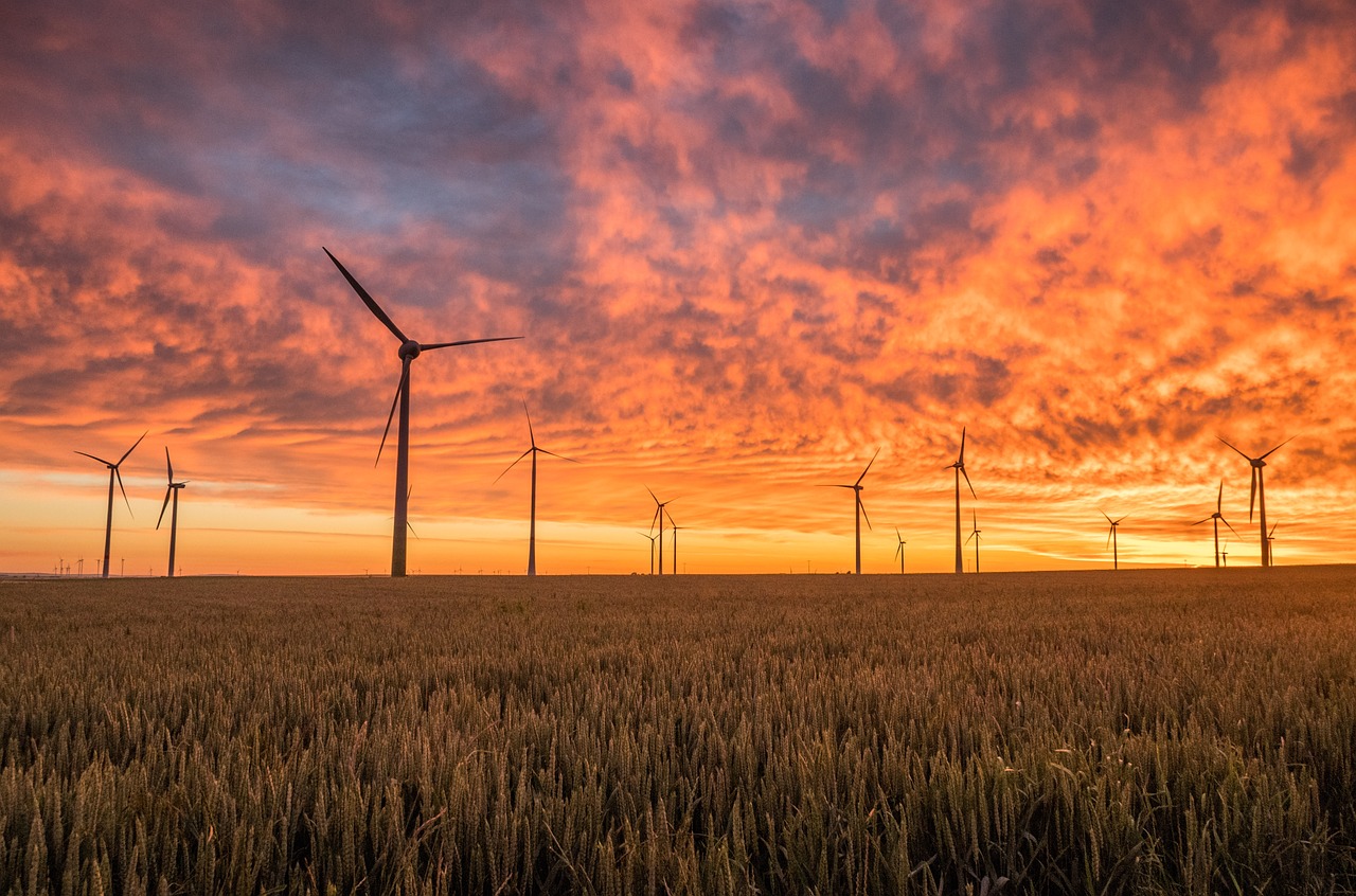 découvrez l'univers des énergies renouvelables, une solution durable et écologique pour notre planète. apprenez comment exploiter le soleil, le vent, et l'eau pour un avenir énergétique responsable.