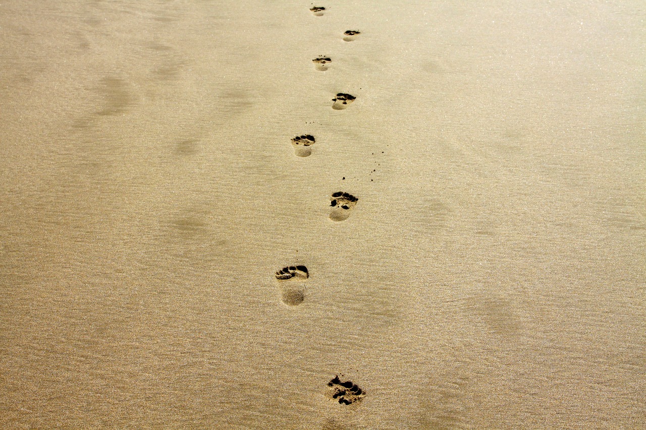 découvrez l'importance de l'empreinte carbone et son impact sur l'environnement. apprenez des stratégies simples pour réduire votre empreinte et contribuer à un avenir durable.