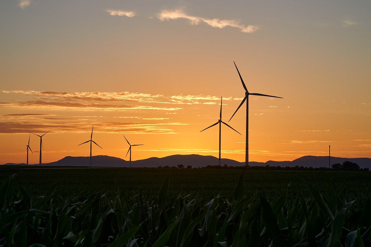 Les tendances du marché et le bilan carbone des énergies renouvelables