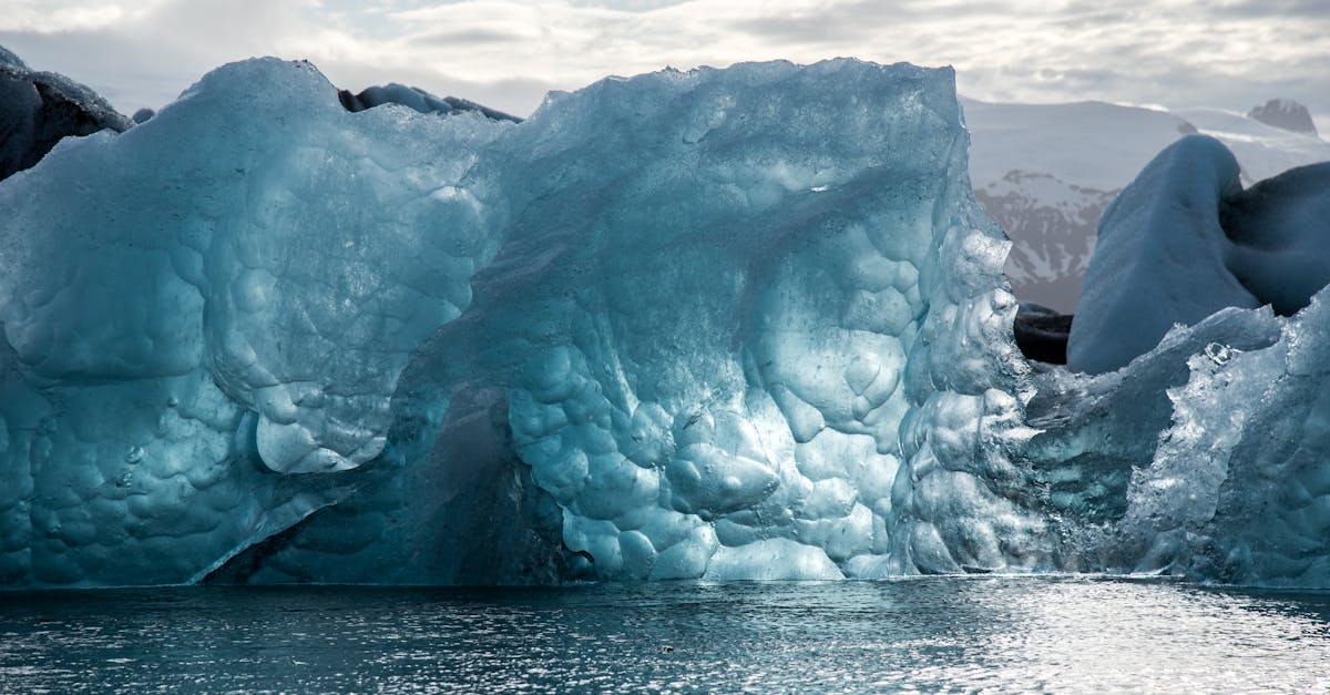 Changement climatique : des solutions innovantes pour un avenir durable