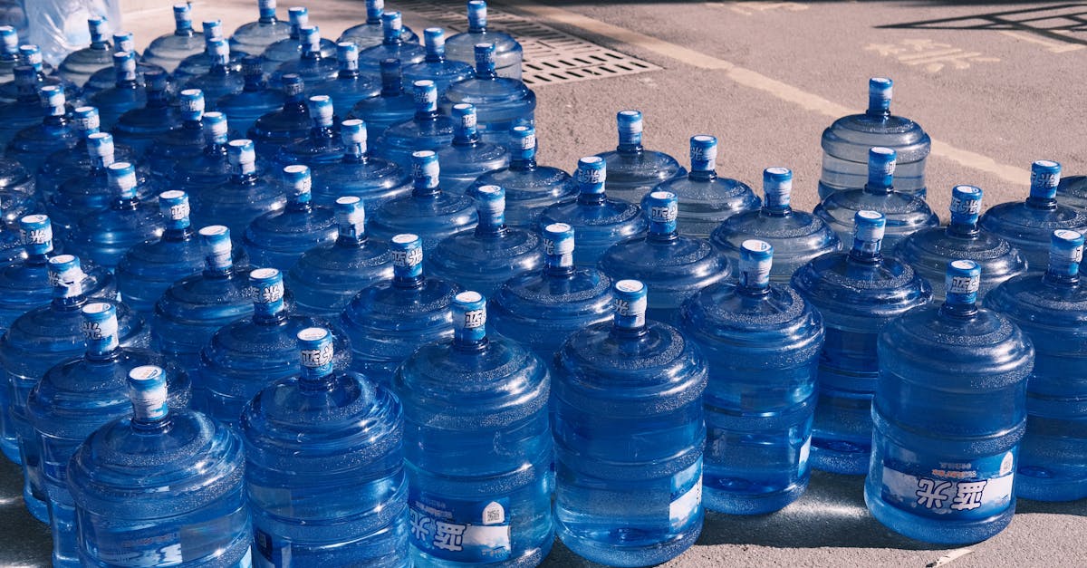 Consommation responsable : des gestes simples pour un avenir durable