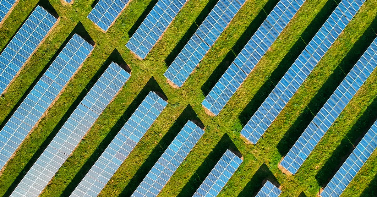Empreinte carbone : comment réduire son impact écologique au quotidien