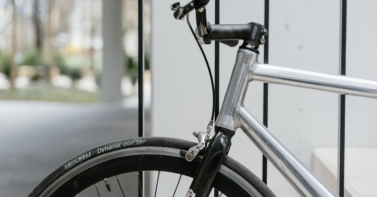 Mobilité verte : comment adopter des solutions durables au quotidien
